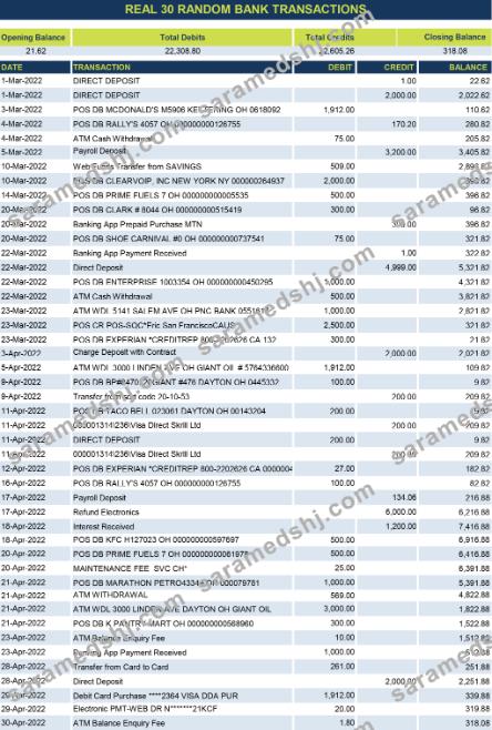 real 30 random bank transactions Excel and PDF template